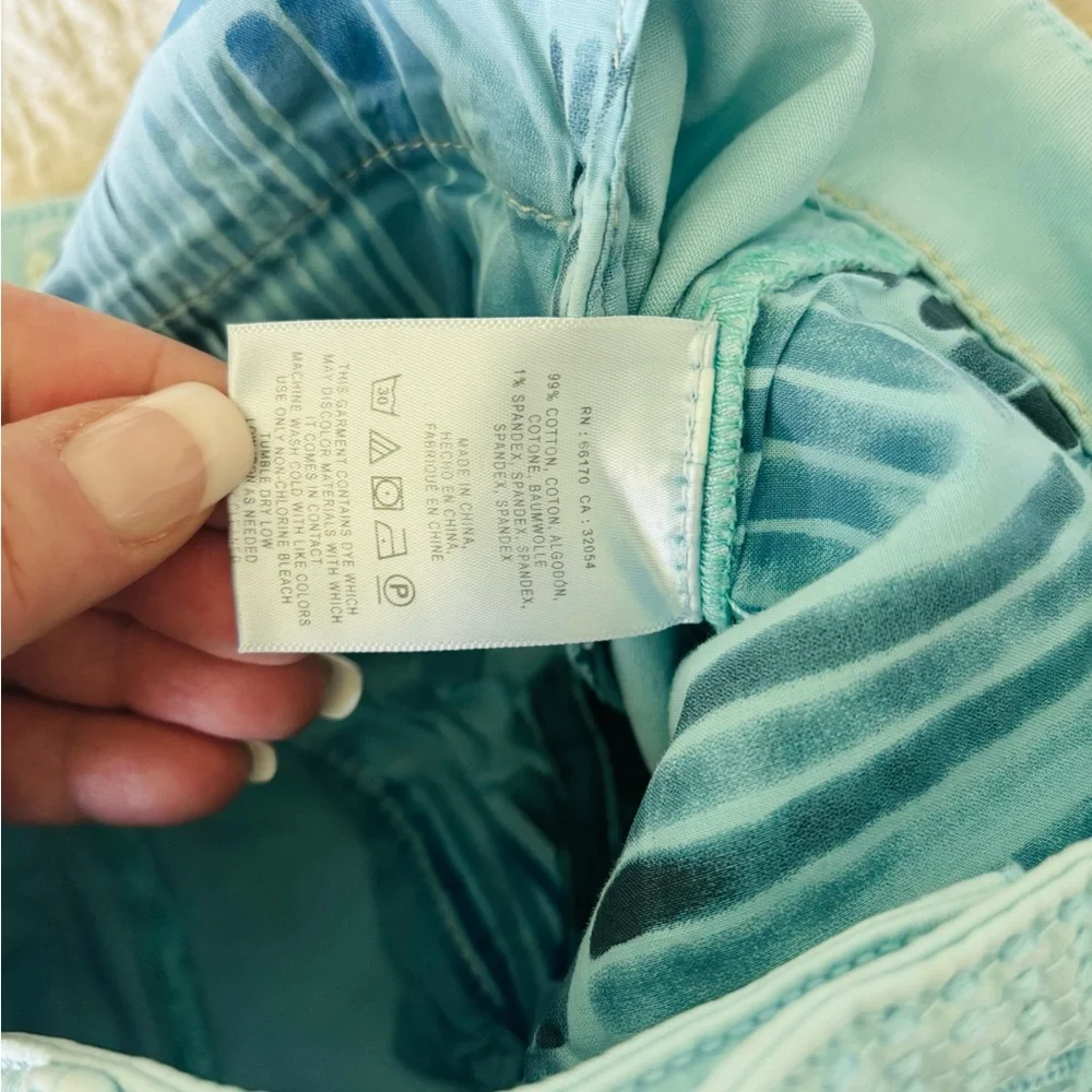 Chino by Anthropologie Chino Relaxed Pants with Tapered Fit size 27 - Picture 8 of 11